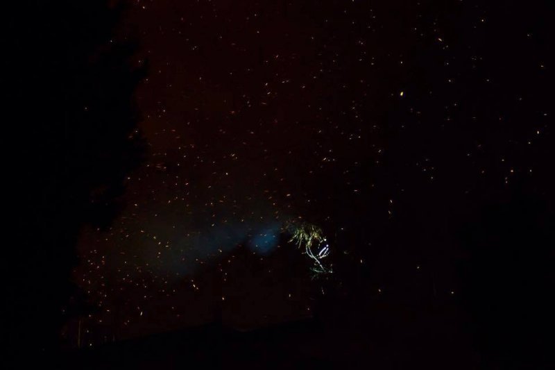 Видео шахматные новости