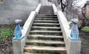 Одесские коты
