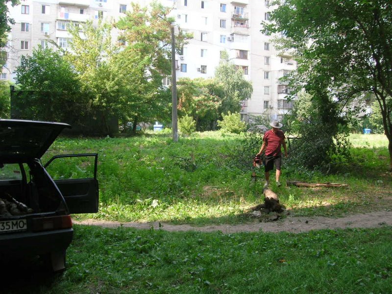 Нагло пилят и воруют деревья на Котовского