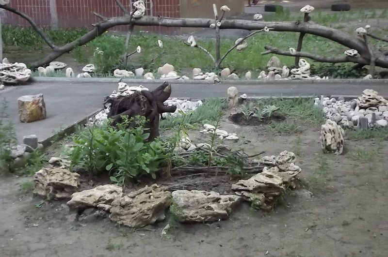 В Одессе тоже есть сад камней