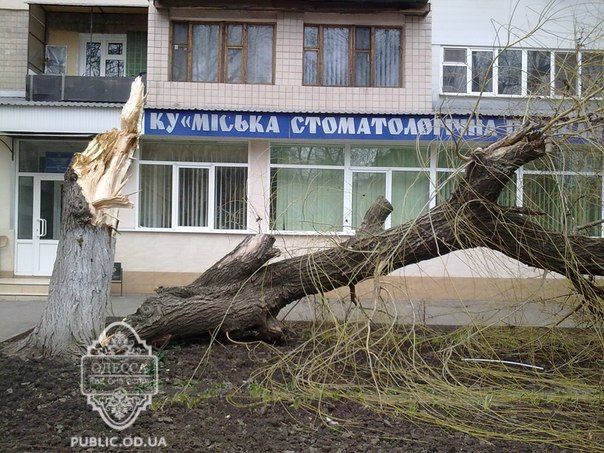 http://odessa-life.od.ua/upload/image/mmryul3oi6w.jpg