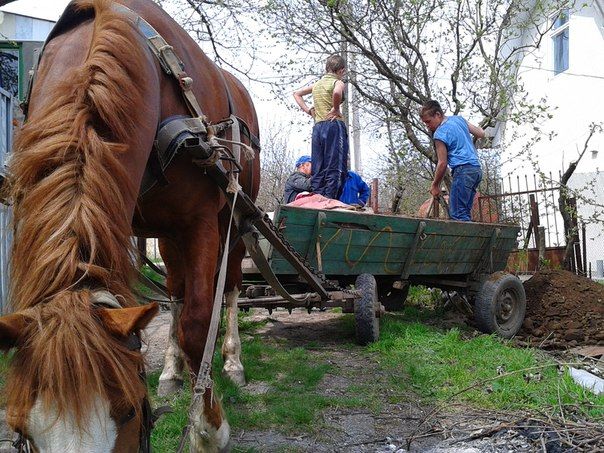 Скайрим перемещение на повозке