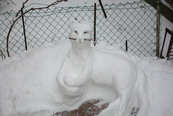 Одесское животное в зимнюю стужу