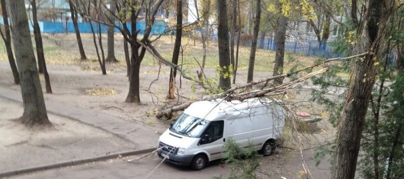 Деревопад в Одессе: пострадали автомобили и провода (ФОТО; ОБНОВЛЕНО)