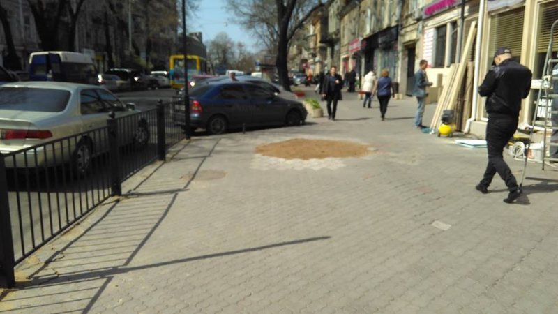 Одесское кафе спилило дерево под летнюю площадку (ФОТО)
