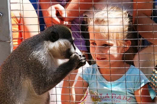День малышей в Одесском зоопарке: итоги (ФОТО)