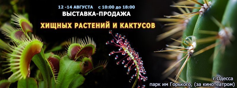 Растения-хищники помогут восстановить ботсад в Одессе