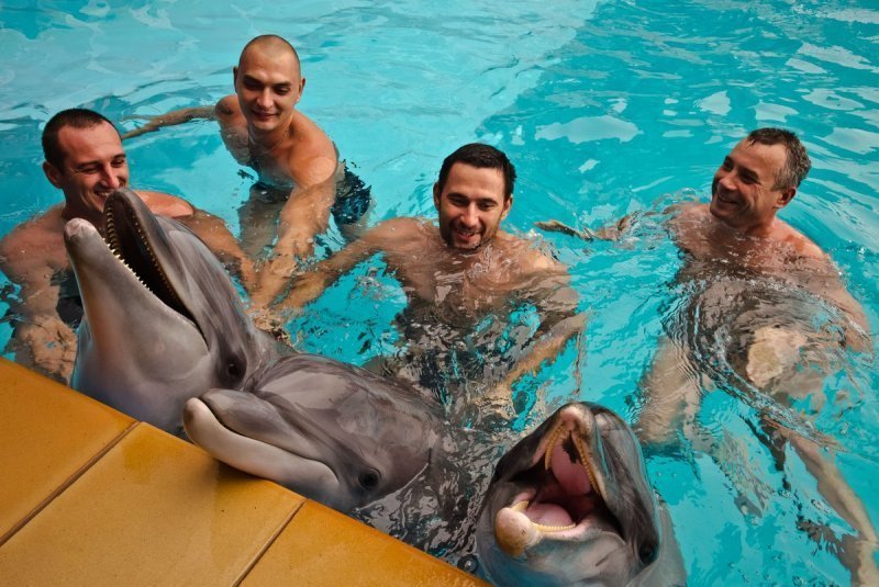 Дельфины помогают восстановить здоровье участникам АТО (ФОТО)