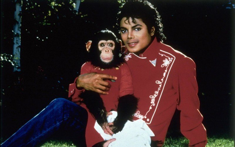 Чудо-Звери: Шимпанзе Майкла Джексона, домашний лев и гиппопотам-путешественник