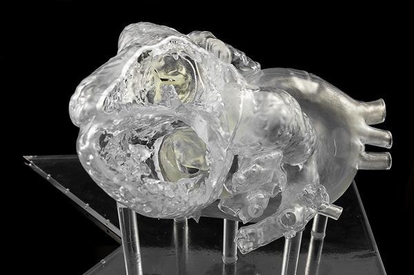 3D печать спасает животных