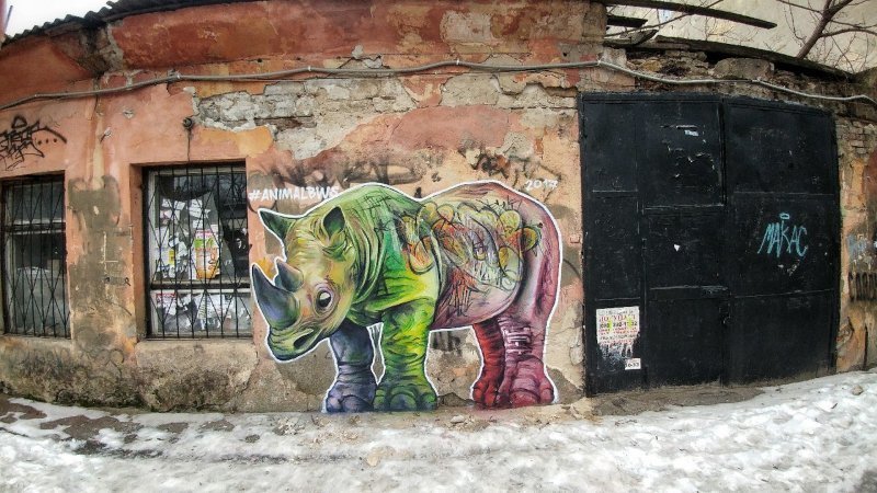 В центре Одессы замечен цветной носорог