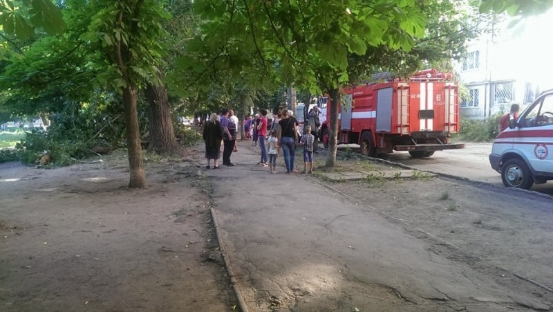 Рухнувшее дерево покалечило людей в Киевском районе (ФОТО)