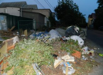 Частный сектор на Таирова завалили мусором. Местные жители в отчаянии (ФОТО)