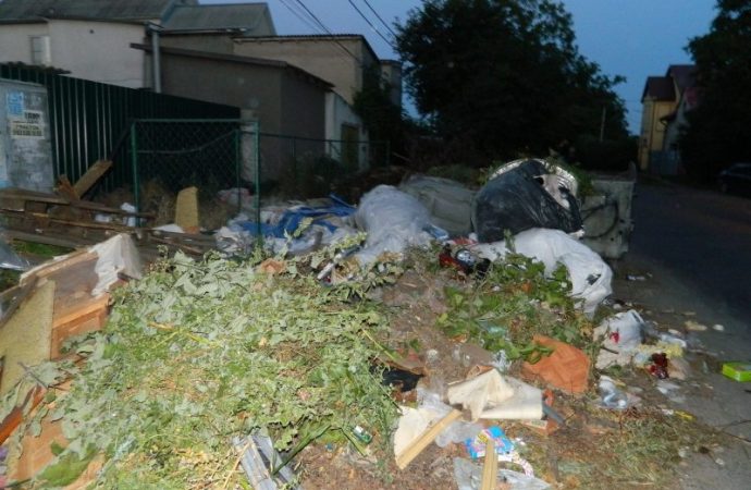 Частный сектор на Таирова завалили мусором. Местные жители в отчаянии (ФОТО)