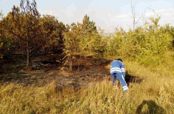 Пожар в лесу Одесской области: в ликвидации участвовала авиатехника (ФОТО)