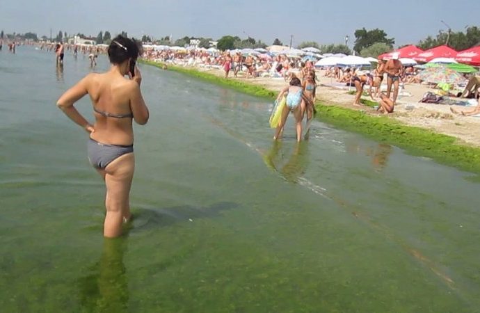 Зловонные водоросли не дают людям нормально отдохнуть на пляжах (ВИДЕО)
