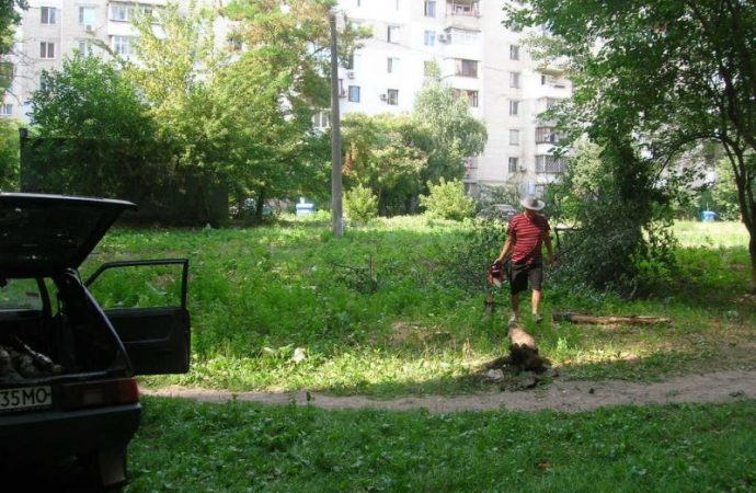 В Одессе нагло пилят и воруют деревья (ФОТО)