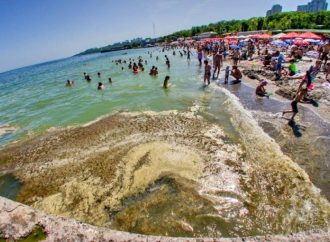 О безопасности морской воды на пляжах Одессы