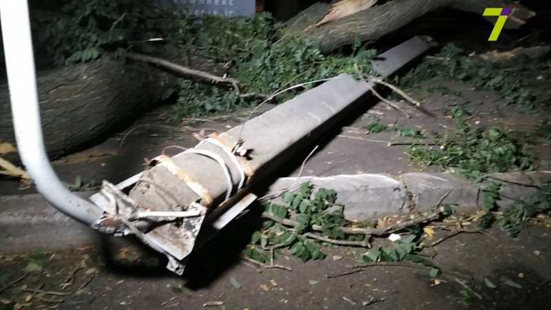 В центре Одессы упало дерево: двое пострадавших (ФОТО)