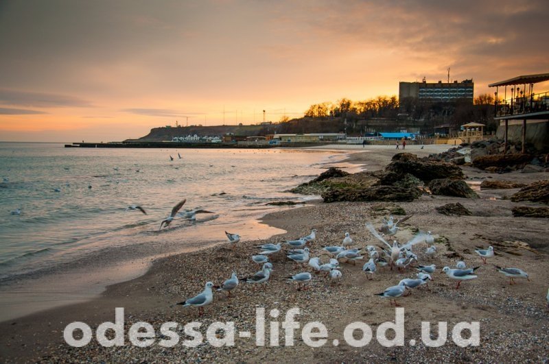 Зимние морские пейзажи в Одессе (ФОТО)