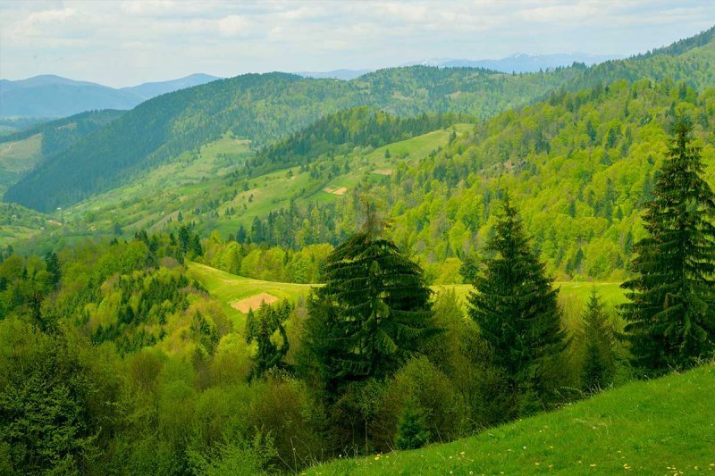 Весенний отдых в Карпатских горах: чем заняться?