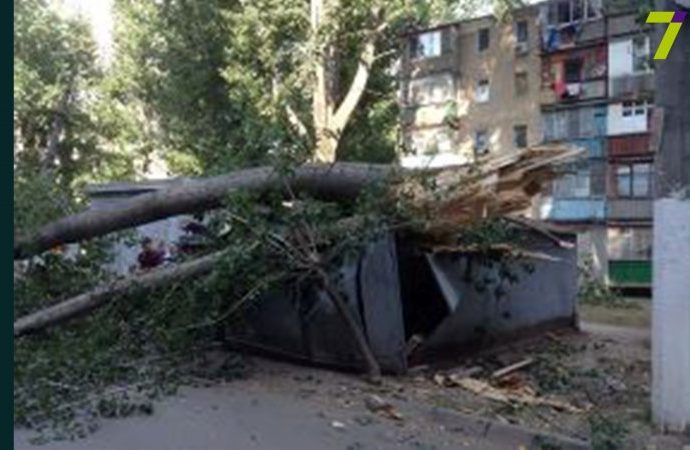 На поселке Котовского  рухнул тополь и повредил сразу шесть автомобилей (ФОТО)