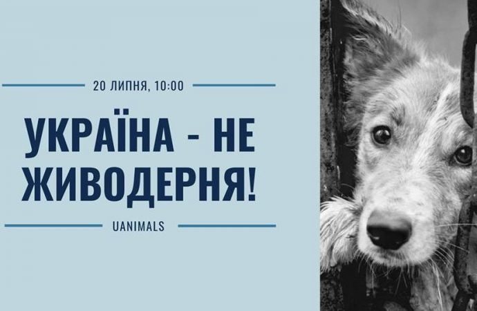 Одесситов зовут на митинг против жестокого обращения с животными