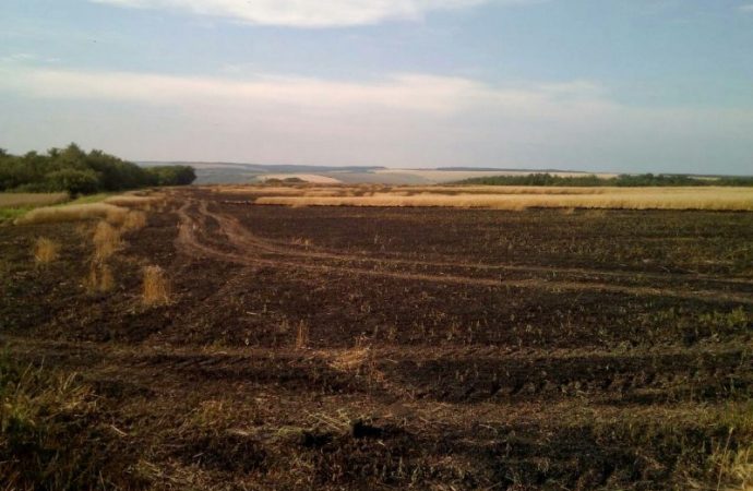 Гидрометцентр: Одесчину ожидают три дня грозовых дождей при чрезвычайном уровне пожароопасности