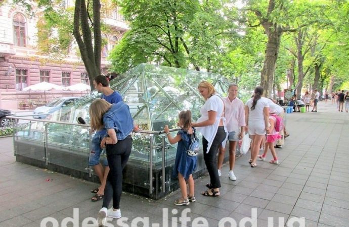 Туристы забрасывают «саркофаг» на Приморском бульваре купюрами и монетами