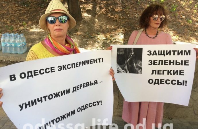 Активисты на три часа перекрывали Генуэзскую, протестуя против вырубки деревьев