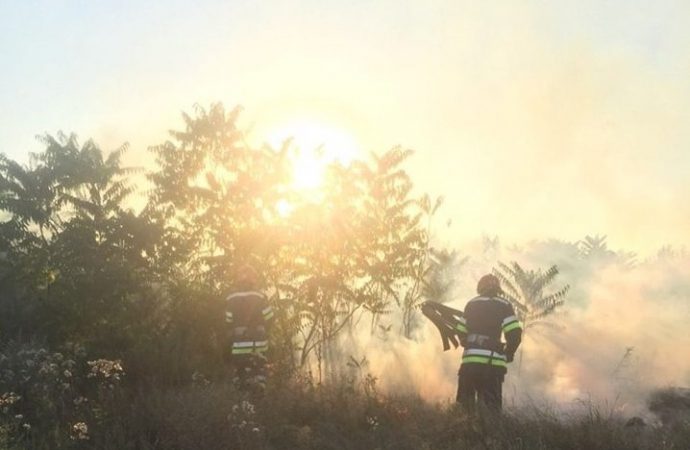 Печальные прогнозы по пожарам в экосистемах области сбываются
