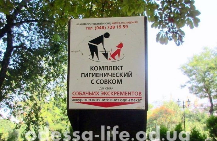 Собачьи туалеты в Одессе: два года спустя