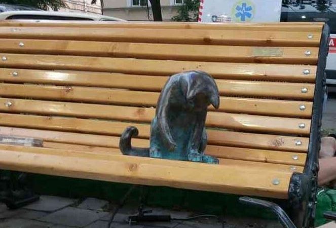 Кошка-геймер вернулась на свою скамейку в переулке Маяковского