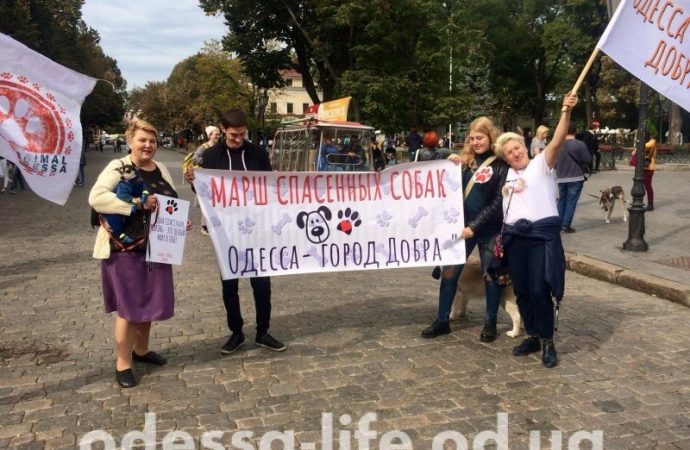 Защитим животных вместе: в Одессе провели II Марш спасенных собак (ФОТО)