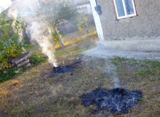 Борьбу с любителями сжигать листья начали в Одесской области