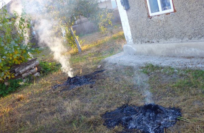 Борьбу с любителями сжигать листья начали в Одесской области
