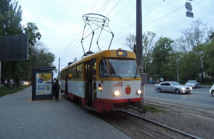 Восстановлено движение трамвая, заблокированного упавшей веткой