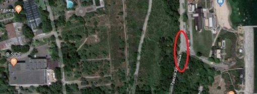 Тоннель под Трассой здоровья хотят построить на месте вырубки деревьев