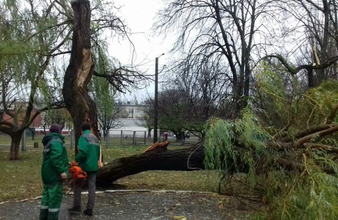 Под натиском непогоды в Одессе падают деревья и останавливаются трамваи