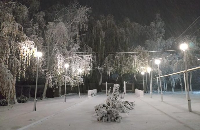 Обложной снегопад начался на севере Одесской области (ФОТО)