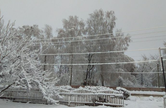 Погода 26 ноября. В Одесской области ожидается снегопад и гололед