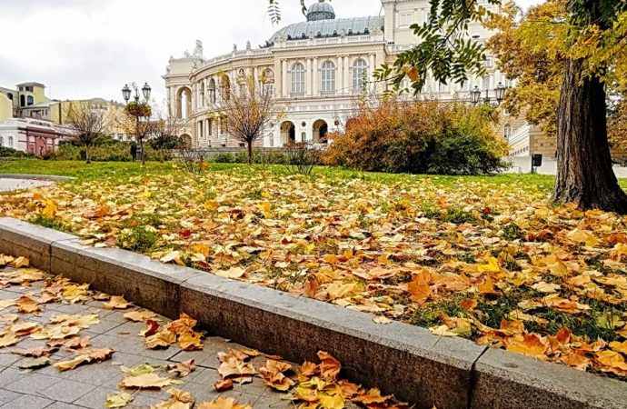 Погода 8 ноября. Первые заморозки и туман ожидаются в Одесской области