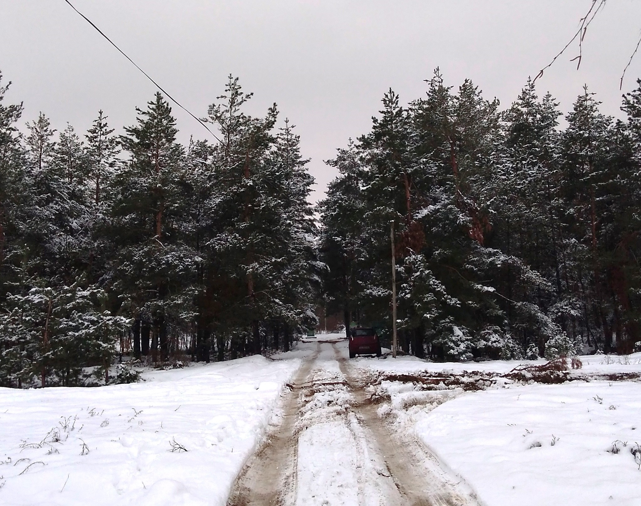 Погода в ладе ичалковский