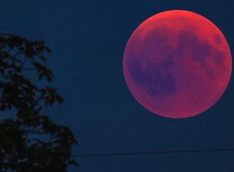 Лунное затмение можно будет увидеть в Одессе