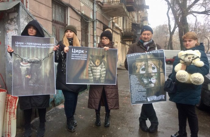 Акция протеста возле Одесского цирка: четверо задержанных