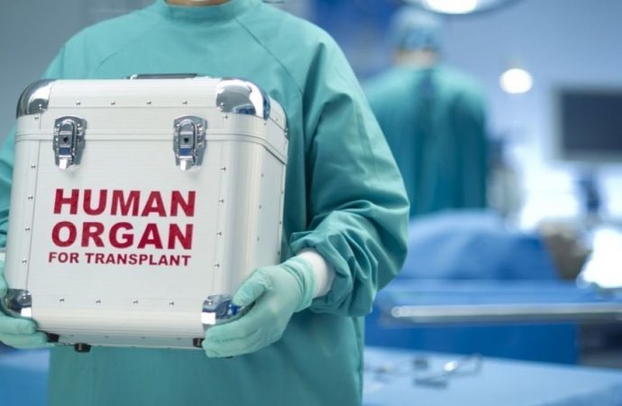 Цена жизни: что изменил новый закон о пересадке человеческих органов?