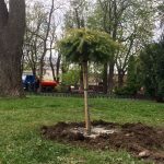 горсад субботник