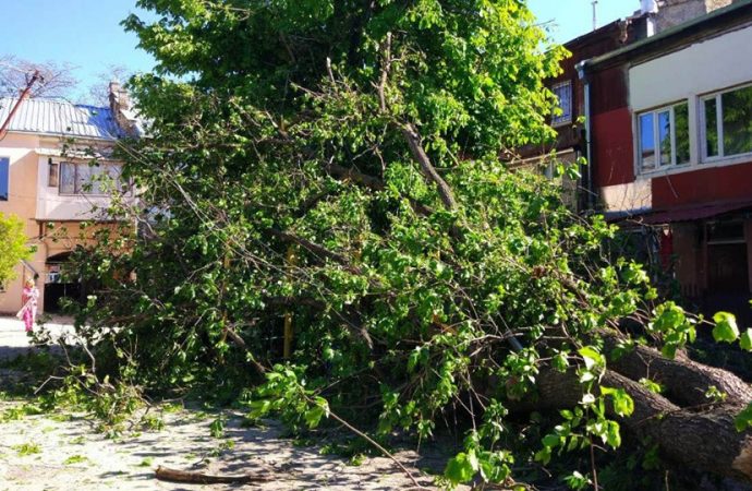 Капризы погоды: одесситов предупреждают о порывистом ветре и возможном падении деревьев