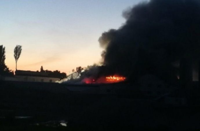 Пожар в Биопарке: никто не пострадал