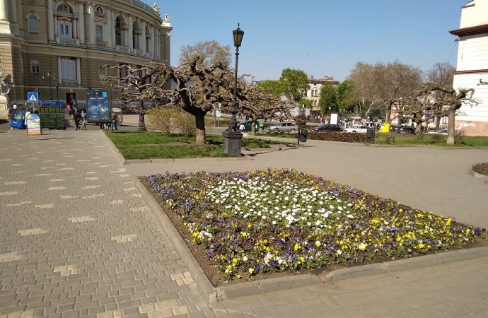 Погода 15 мая. В Одессе будет всё так же тепло